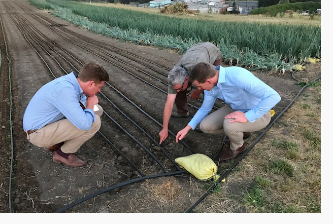 Commissioner Calkins, Port of Seattle Staff, and Washington State University Professor at organic farm research site, Spokane, WA