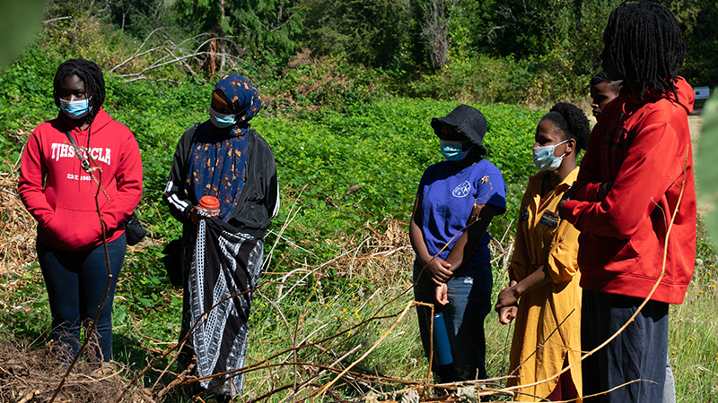 Hilltop park habitat restoration