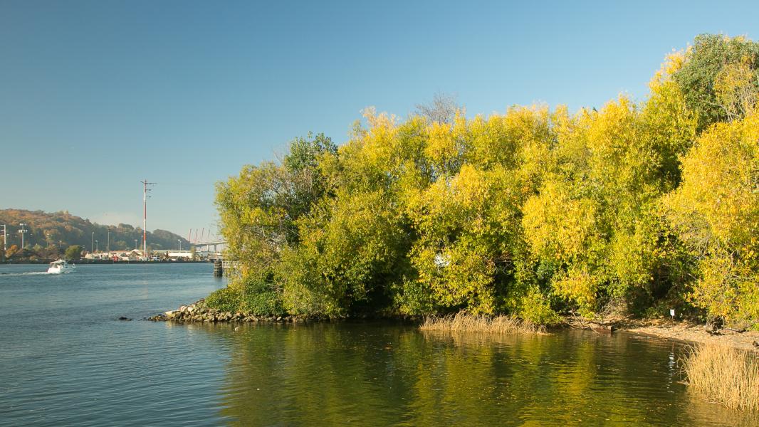 View of Duwamish River from Terminal 108 Park, Seattle, Oct. 2018