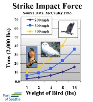 Strike Impact