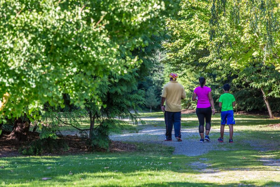 Family walking in the park