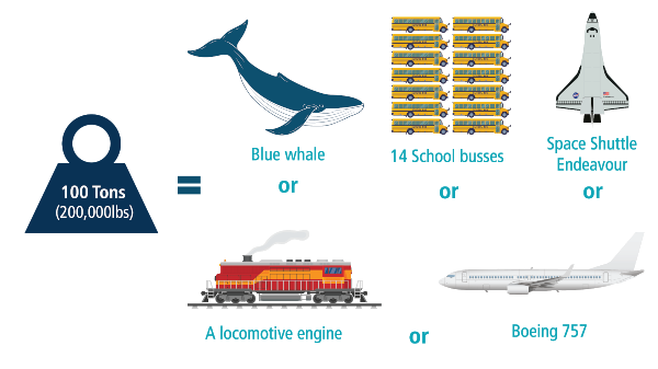 graphic illustrating what the cranes can life: a whale, an airplane, a locomotive engine