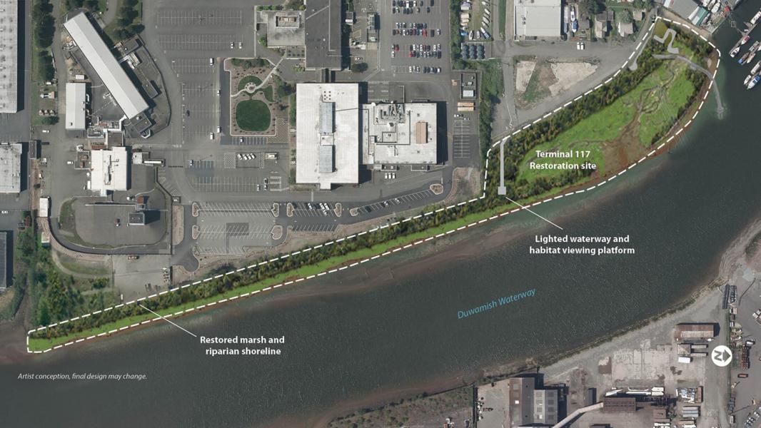 Terminal 117 habitat restoration area