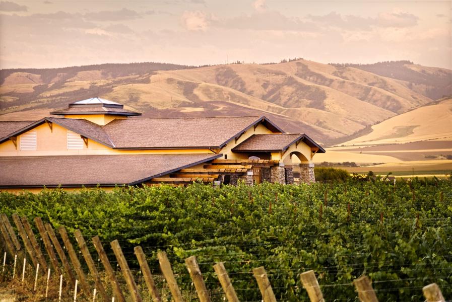 Wheat fields and winery building