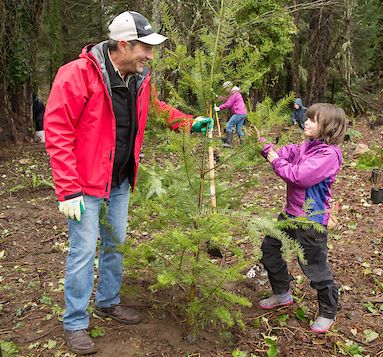 Commissioner Steinbrueck plants a tree