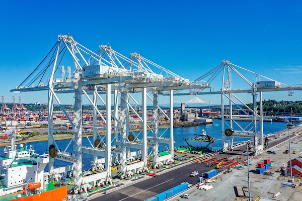 New cranes at Terminal 5